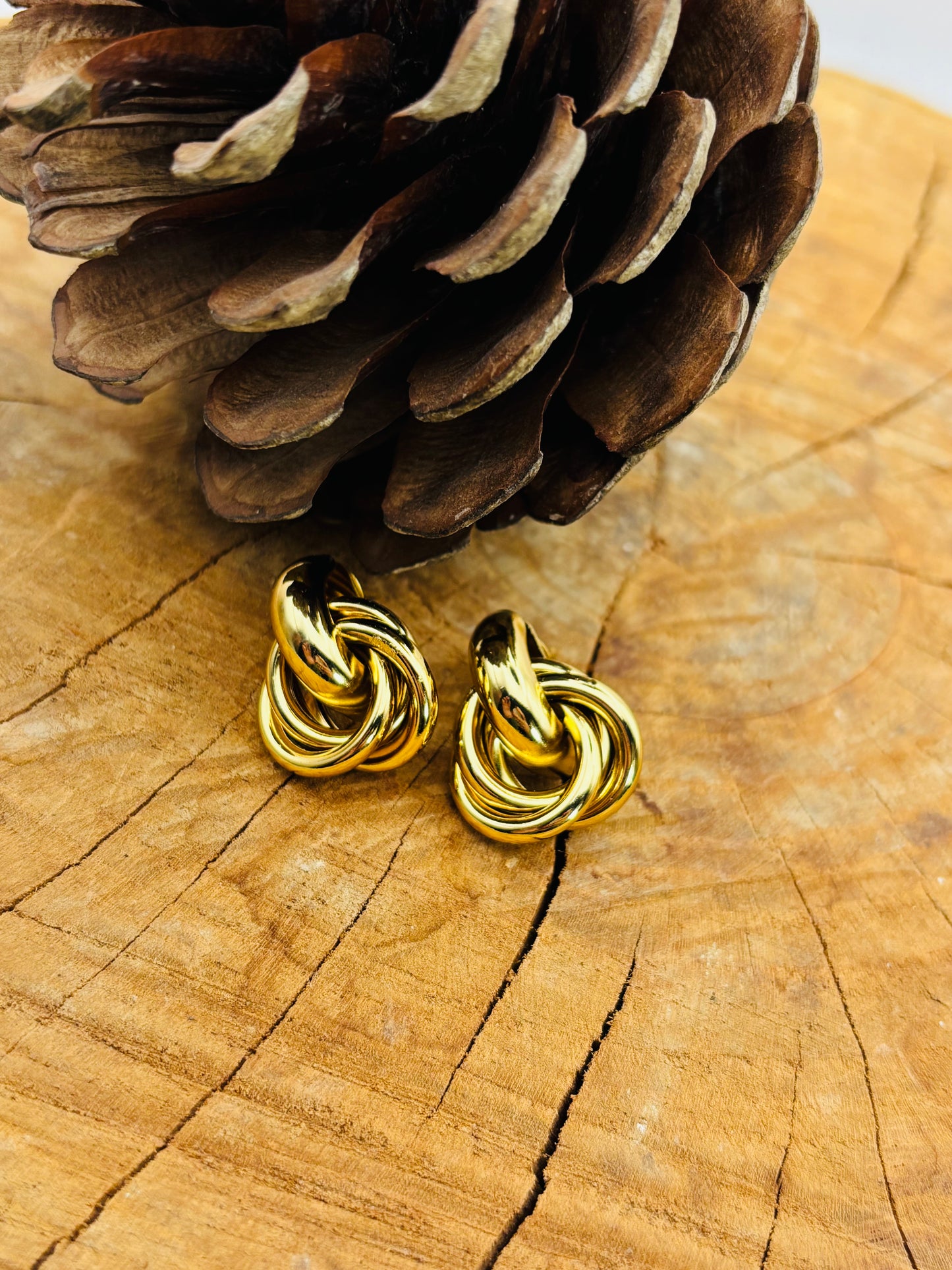 Σκουλαρίκια Seine