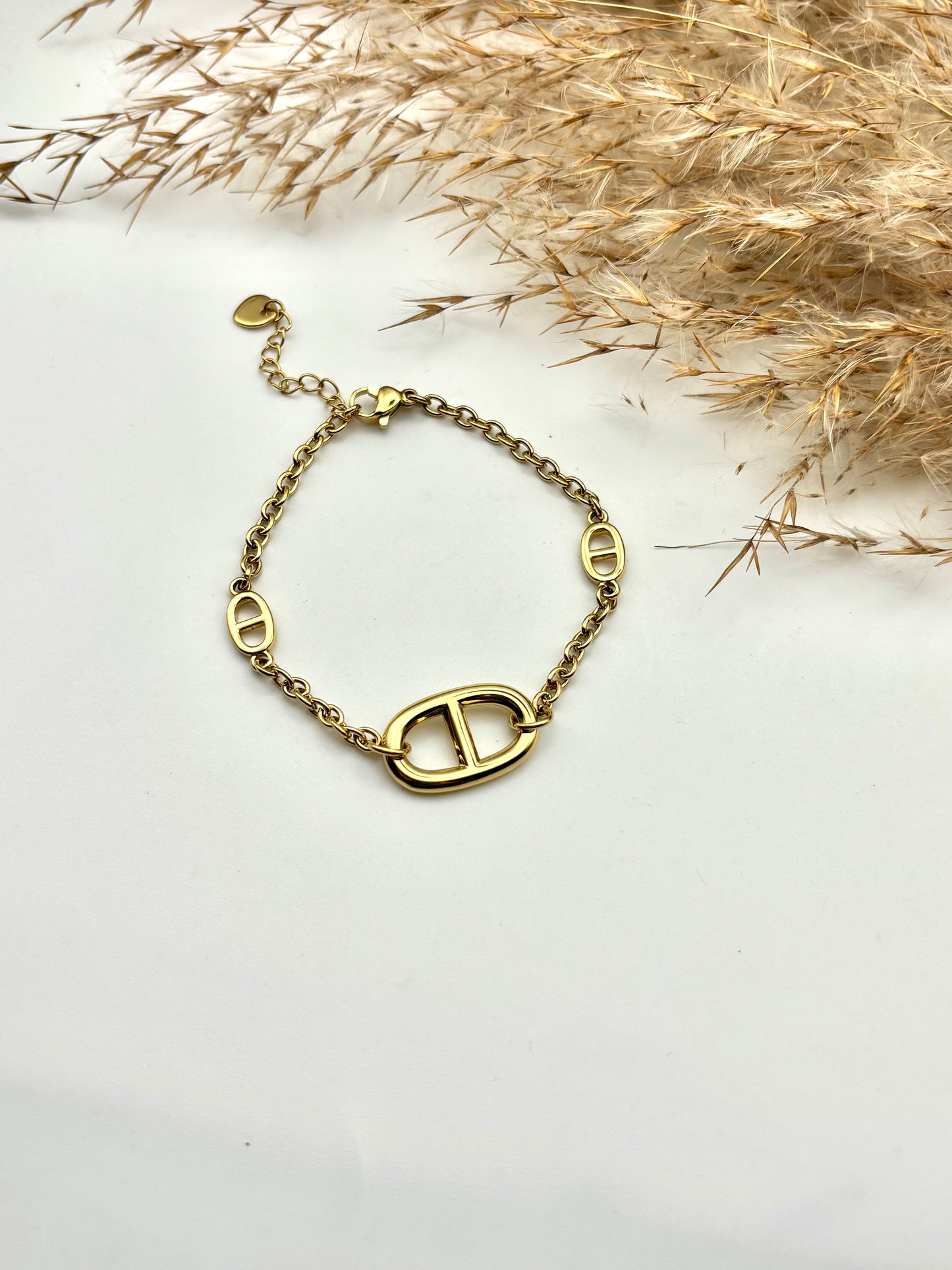 Βραχιόλι Anemia