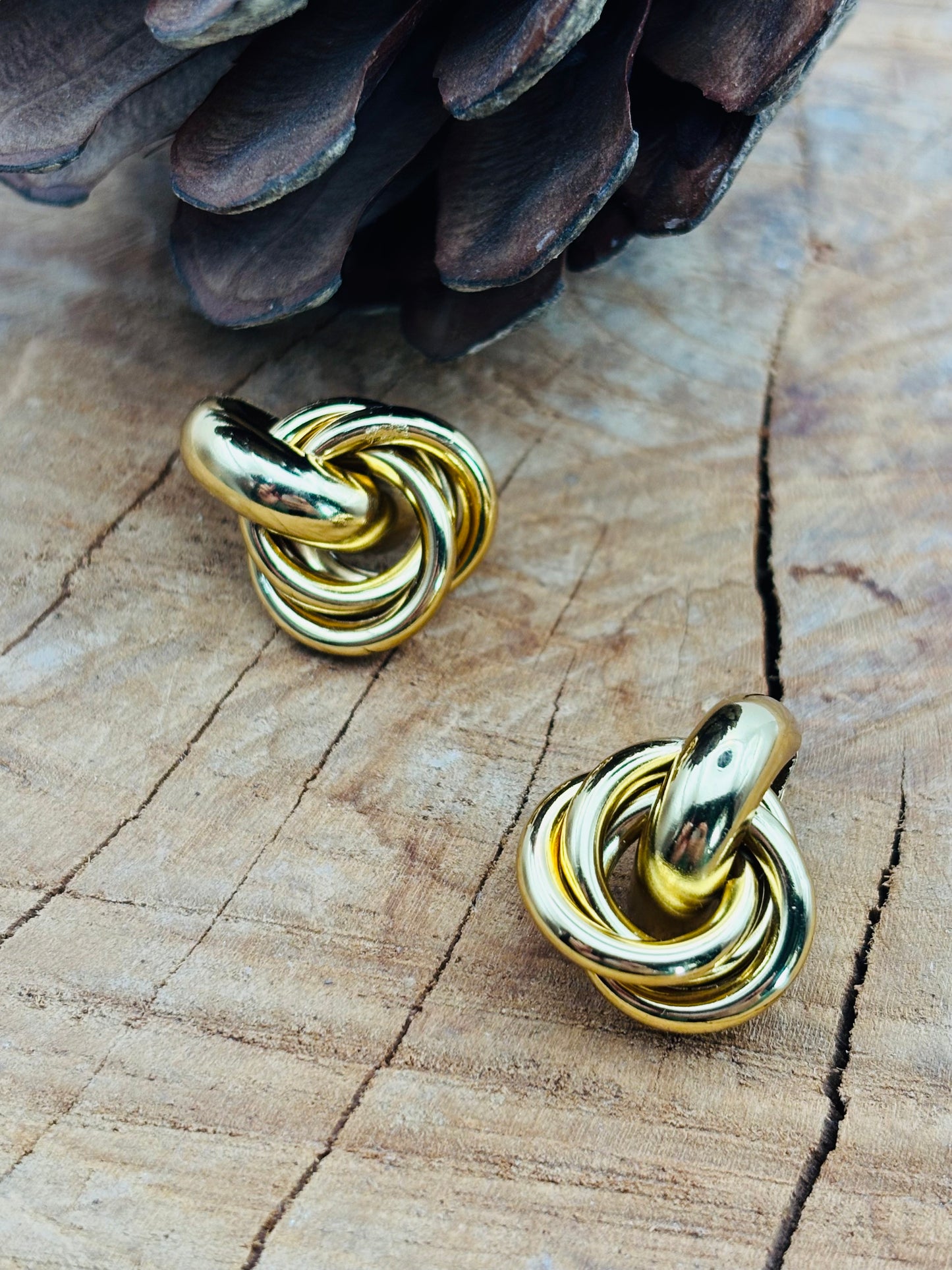 Σκουλαρίκια Seine