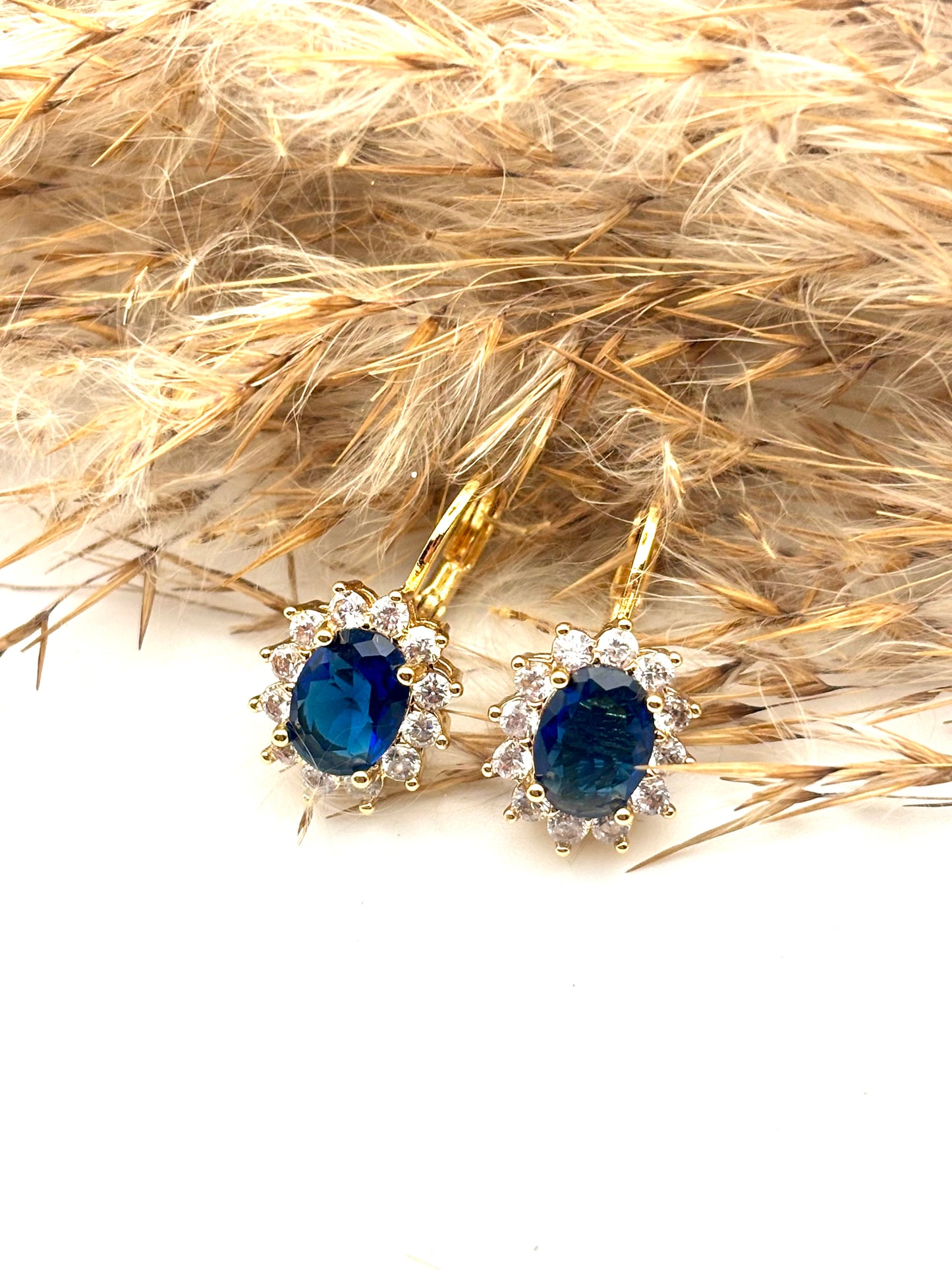 Σκουλαρίκια Salien