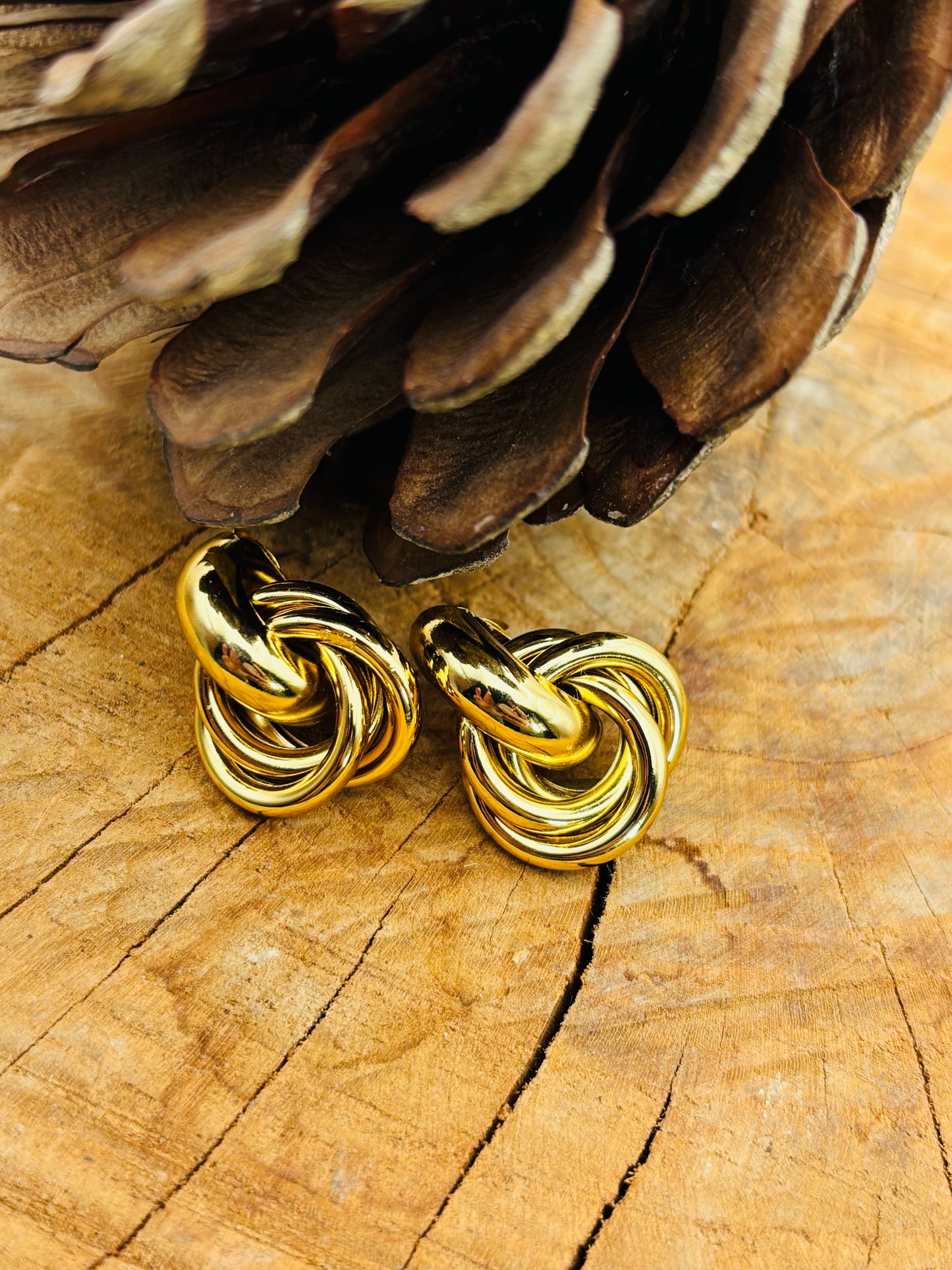 Σκουλαρίκια Seine